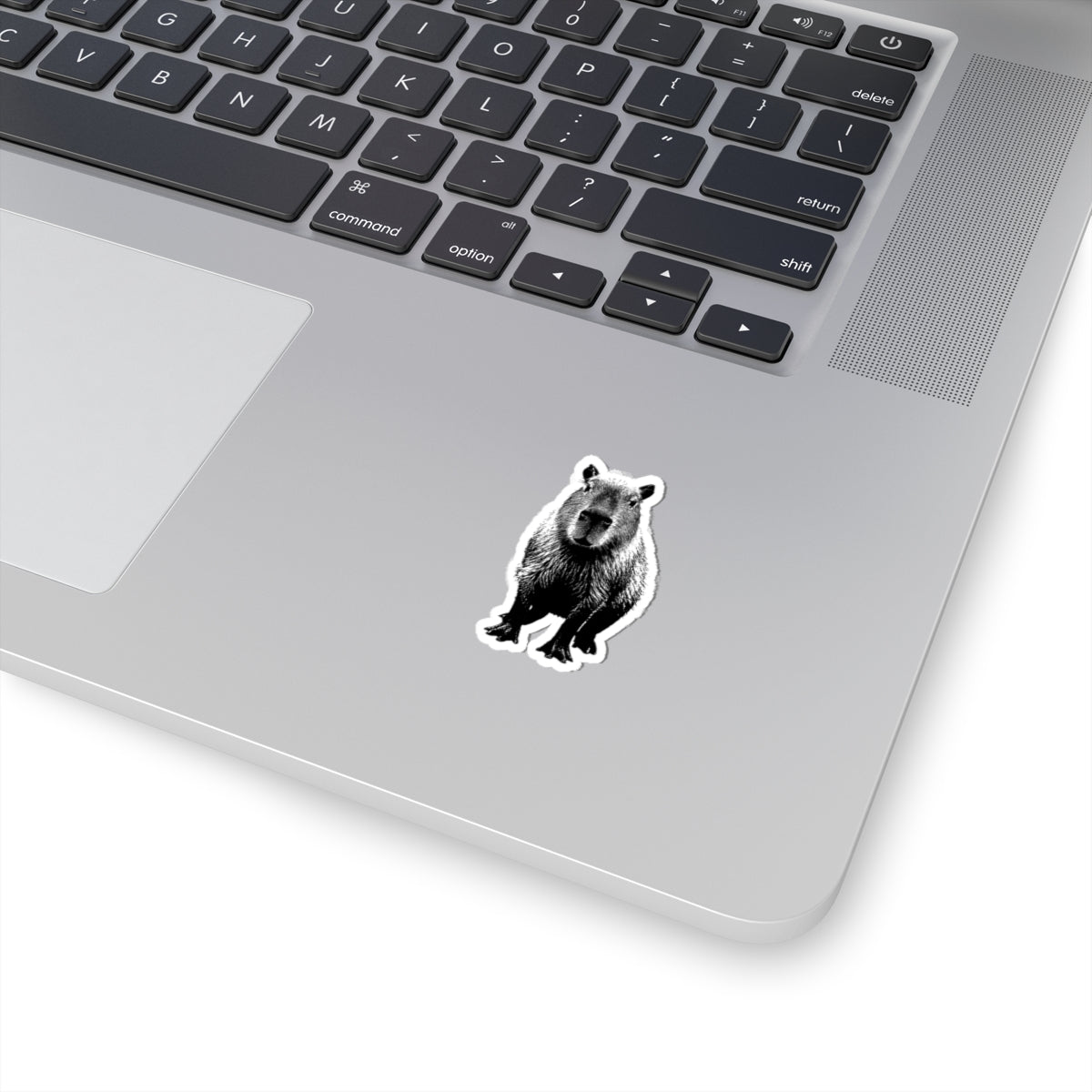 Capybara Kiss-Cut Stickers, Perfect for Laptops, Water Bottles, Journals, Gifts for Animal Lovers, Cute Decor