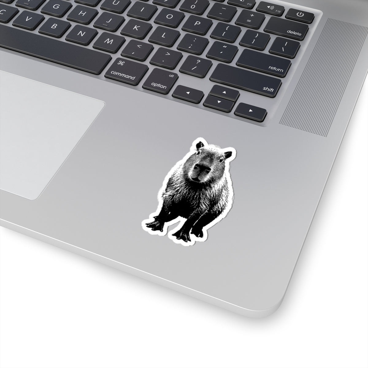 Capybara Kiss-Cut Stickers, Perfect for Laptops, Water Bottles, Journals, Gifts for Animal Lovers, Cute Decor
