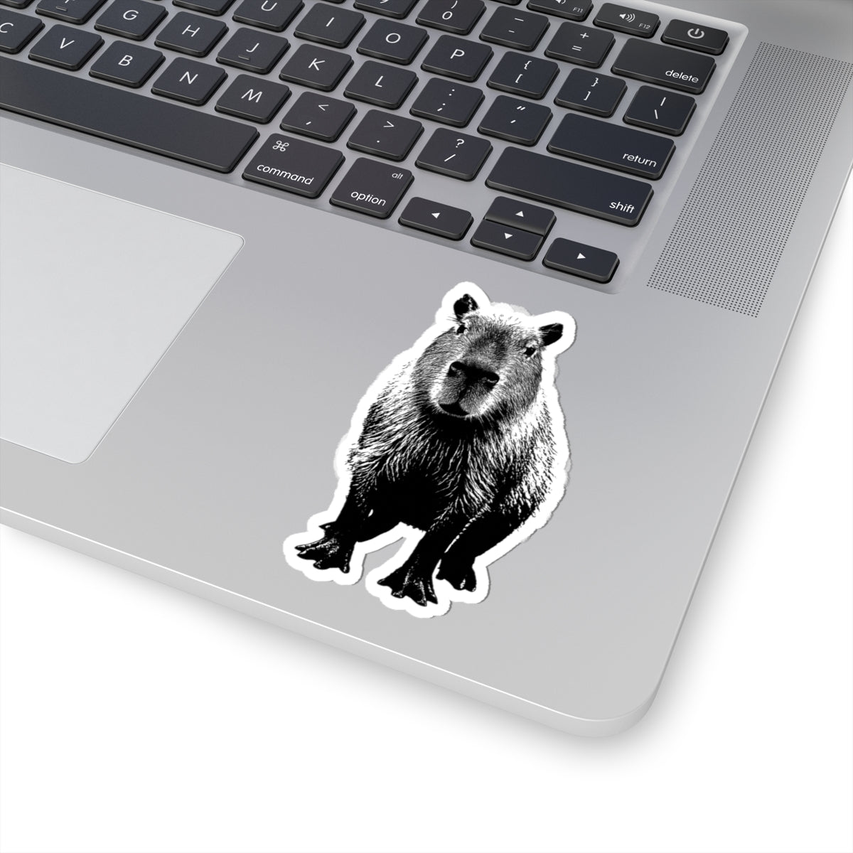 Capybara Kiss-Cut Stickers, Perfect for Laptops, Water Bottles, Journals, Gifts for Animal Lovers, Cute Decor