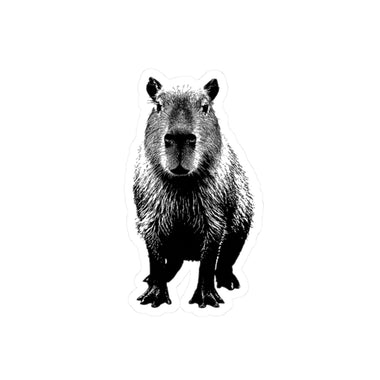 Capybara Kiss-Cut Stickers, Perfect for Laptops, Water Bottles, Journals, Gifts for Animal Lovers, Cute Decor