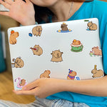 10/50 PCS Cartoon-Bara Stickers